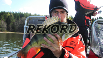 tmf_rekord