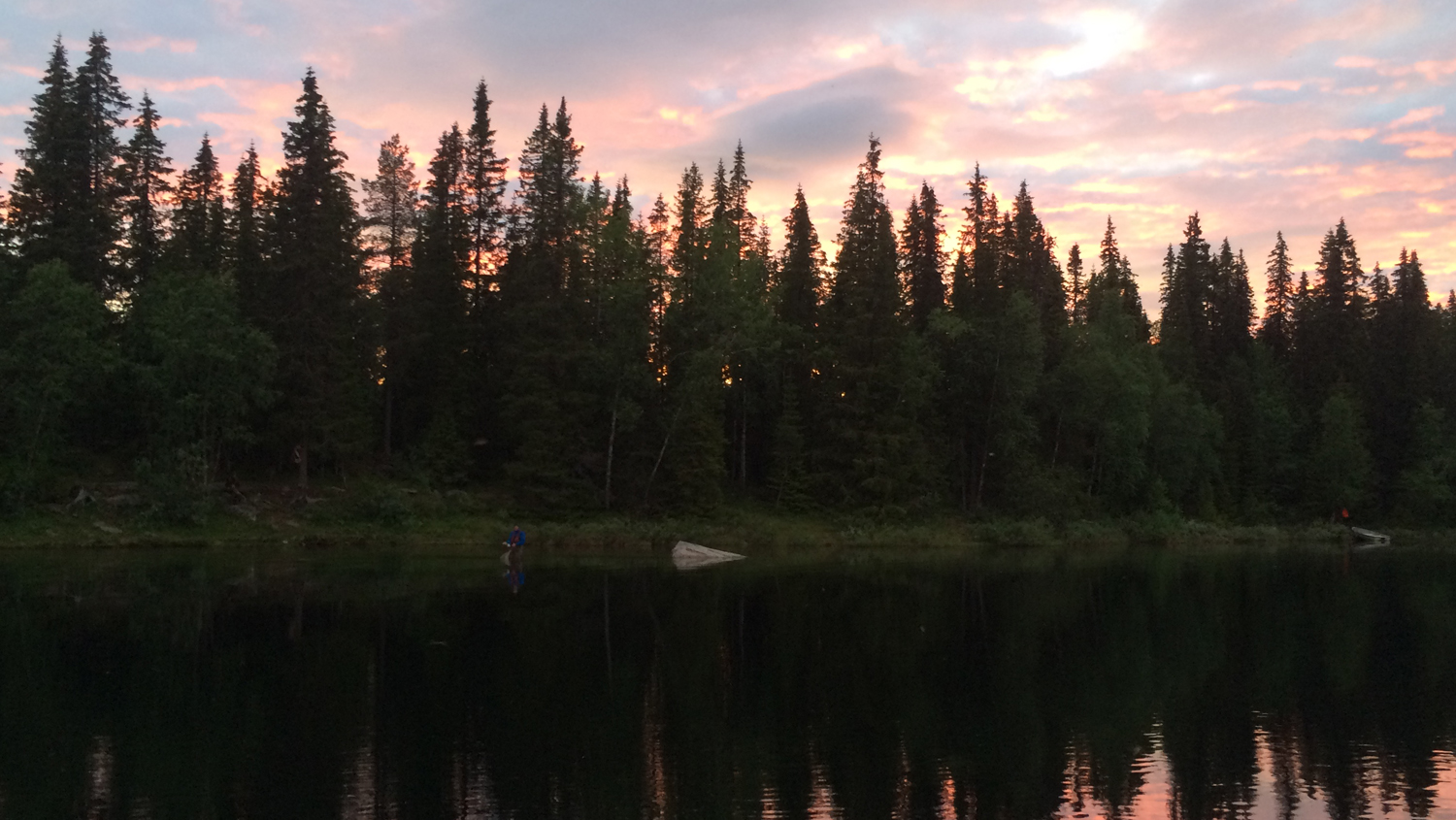 sjöforsen vindelälven