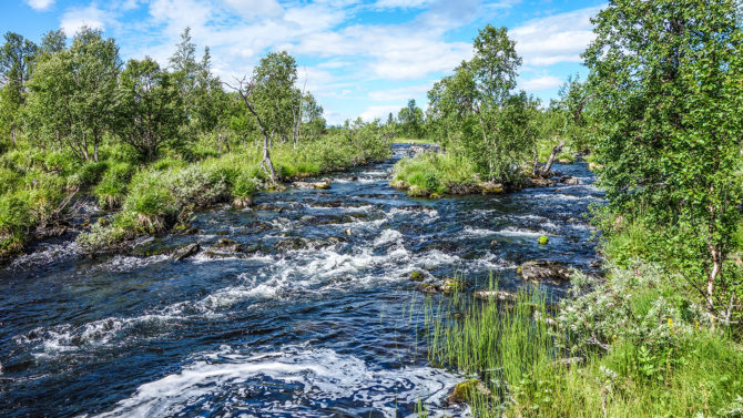 rakkabäcken vindelfjällen