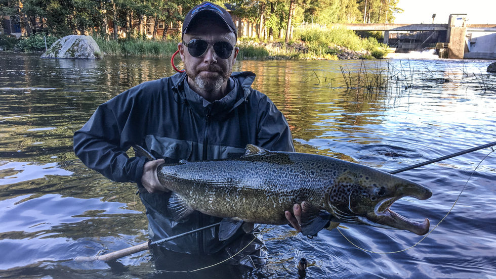 laxfiske kungsådran