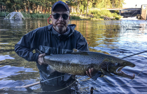 laxfiske kungsådran