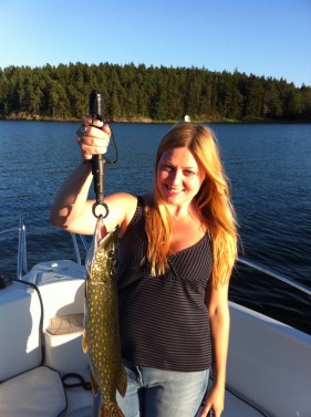 Elin gädda