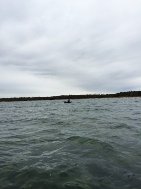 kanotfiske havsöring gotland
