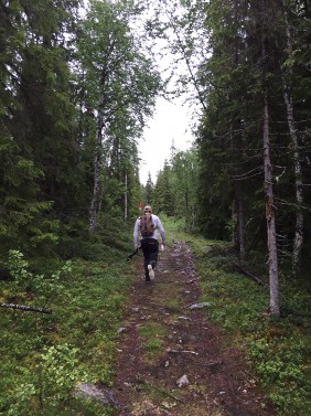 till fjälls